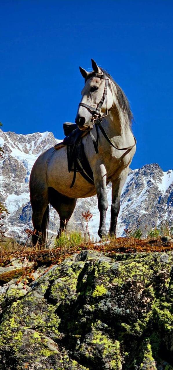 Гостевой дом Ushguli Riho Экстерьер фото